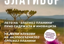 Електронске новине